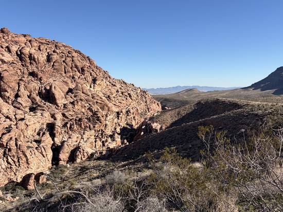 View photos in new tab