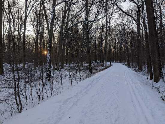 View photos in new tab