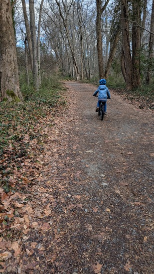 View photos in new tab