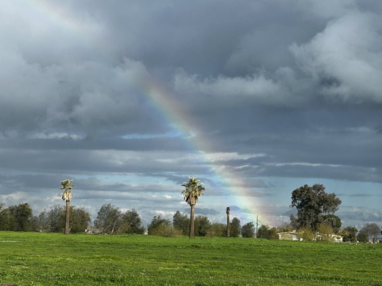 View photos in new tab