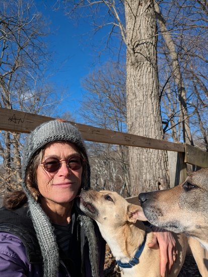 View photos in new tab