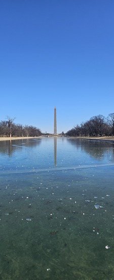 View photos in new tab