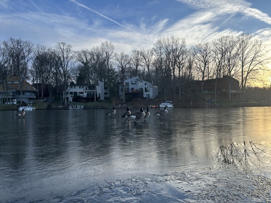 View photos in new tab