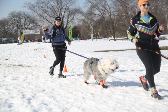 View Start Line in new tab