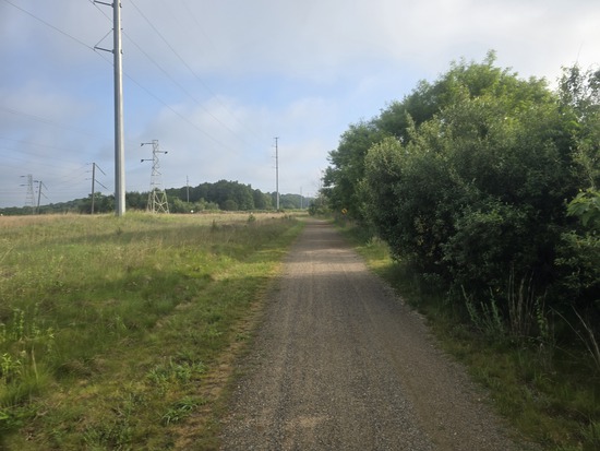 Participant Upload Image