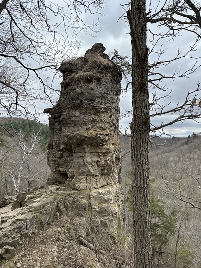 View Race Day in new tab