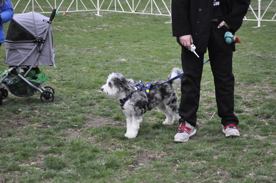 View Start Line in new tab