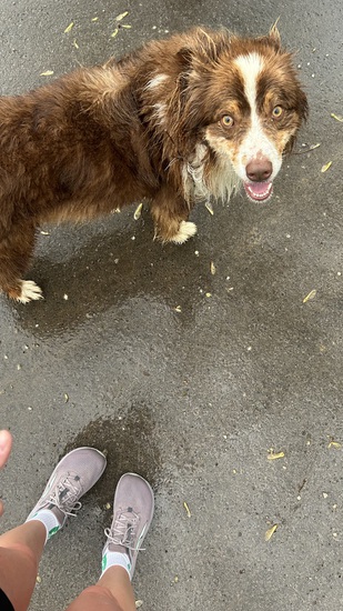 Participant Upload Image