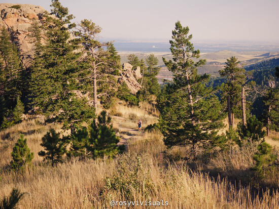 View Timber/Arthurs - Rosy Southwell in new tab