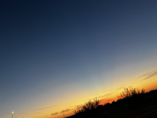 Participant Upload Image