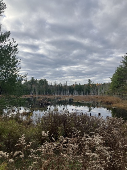 View On Course - Refuge Adventurer Challenge in new tab