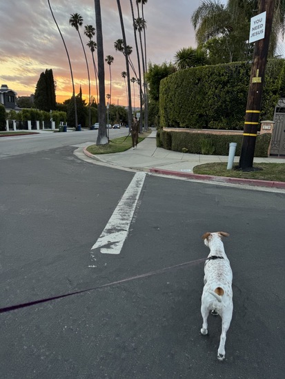 View photos in new tab