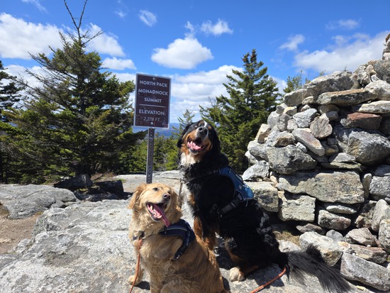 Participant Upload Image