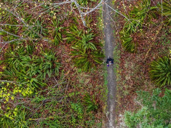 View Jesse Major Photography in new tab