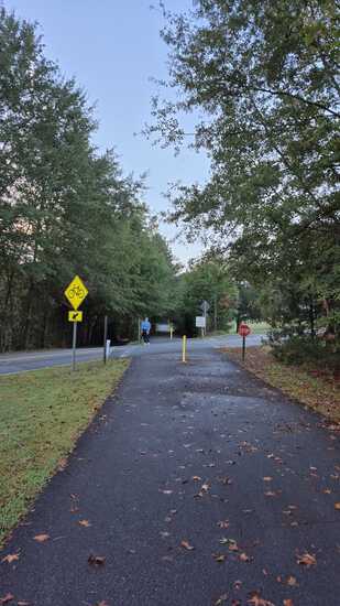 View Race Photos in new tab