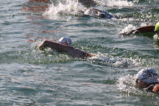 View 1600m Race in new tab