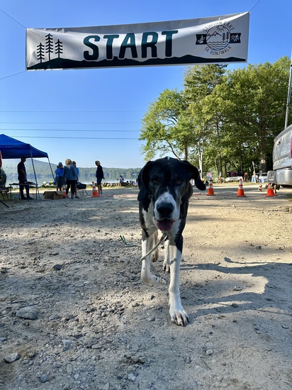 View Start Line in new tab
