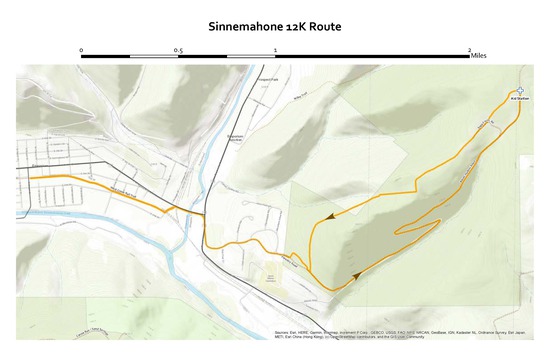 View Maps in new tab