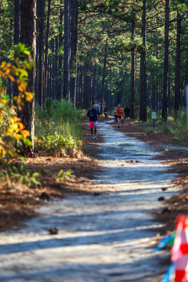 View Finish Line in new tab