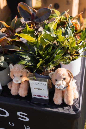 View Postrace in new tab