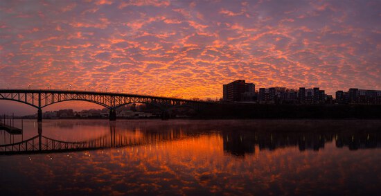 View 2025- Nick Morgan Photography in new tab