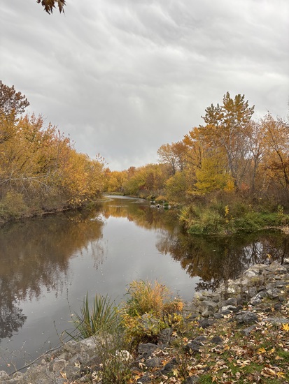 Participant Upload Image