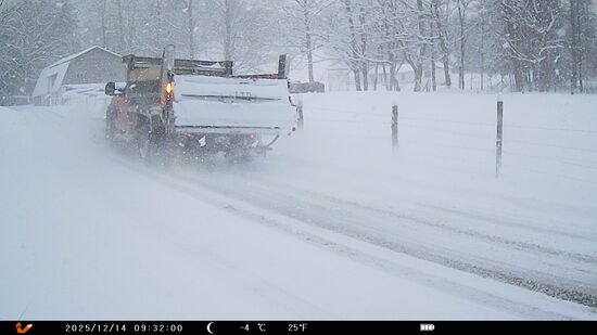 View Start Line in new tab