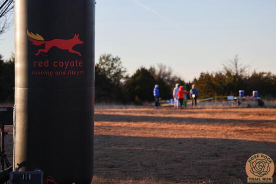 View Before and After the Run in new tab