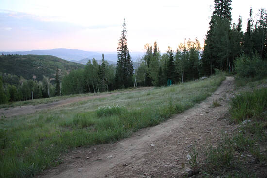 View 2025 Mid Mountain 50K in new tab