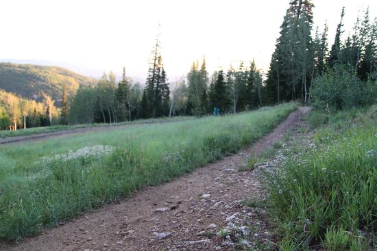 View Mid Mountain in new tab