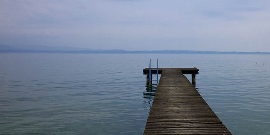 Participant Upload Image