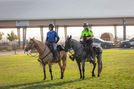 View Trail Run/Walk in new tab