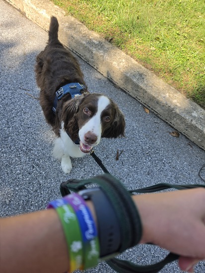 Participant Upload Image