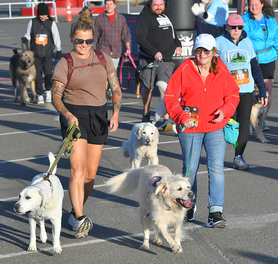 View Sunset 5k Start in new tab