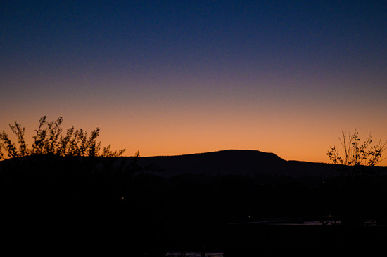 View Race Photos in new tab