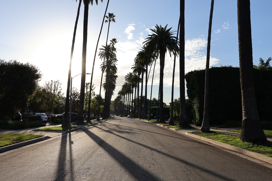 View Course Mile 2 in new tab