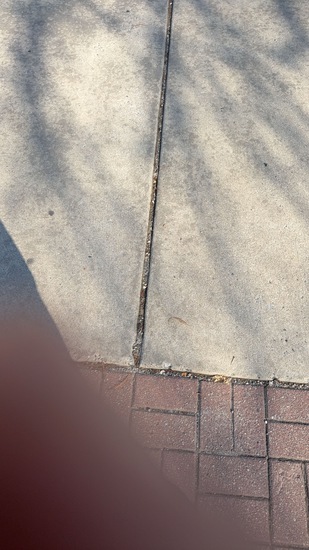 View Finish in new tab