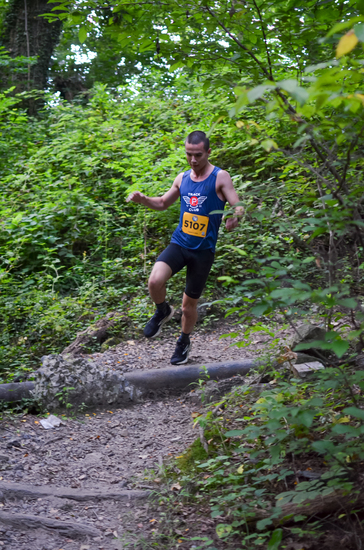 View Half Marathon (Photos by Elizabeth Encarnacion) in new tab