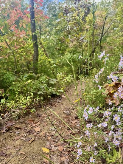 View Trail Photos in new tab
