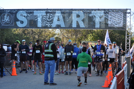 View START LINE in new tab