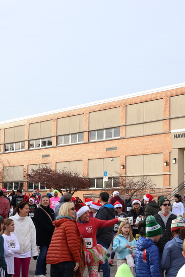 View Reindeer Romp Photos in new tab