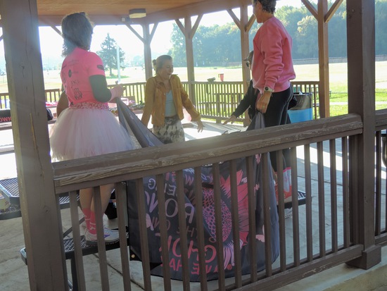 View PAINT BORDENTOWN PINK 2025 in new tab