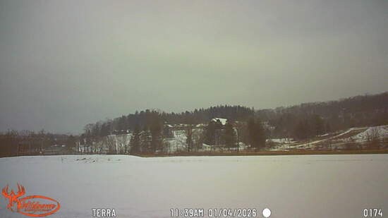 View Trail camera 1 in new tab