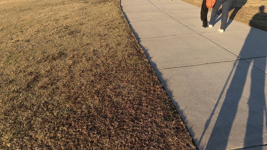 View Start Line in new tab