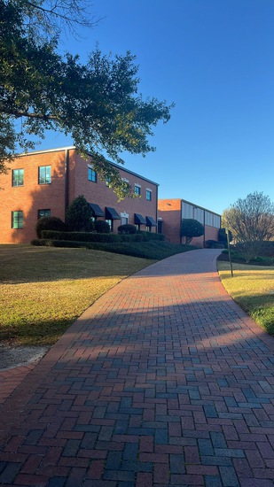 View History Walk in new tab