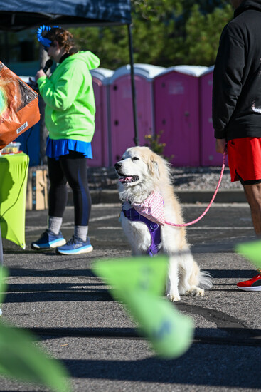 View Candids and poses in new tab