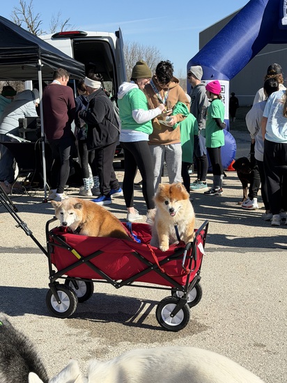 View Finish Line in new tab