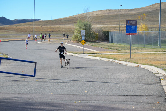 View Course in new tab