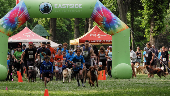 View 2023 Dogs Who Jog Start & Finish Line in new tab