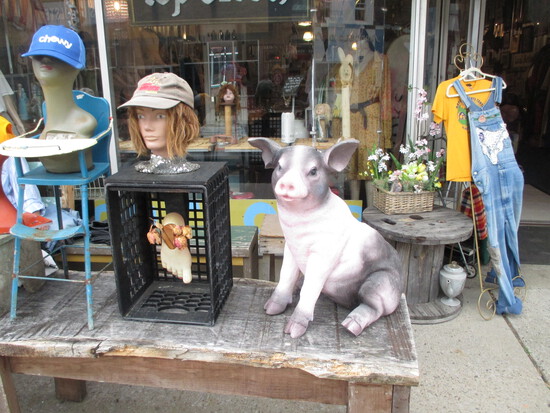 View Race Photos DG in new tab